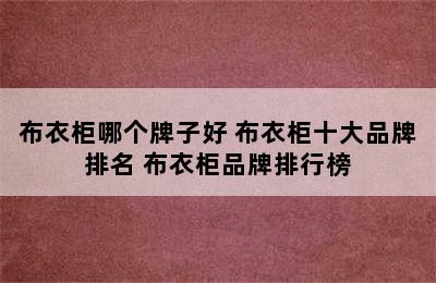 布衣柜哪个牌子好 布衣柜十大品牌排名 布衣柜品牌排行榜